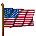 USA Flag, United We Stand!